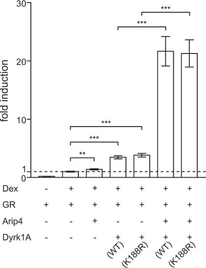 FIG. 8.