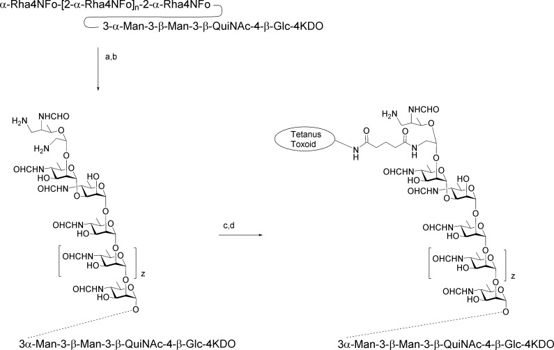 Scheme 5