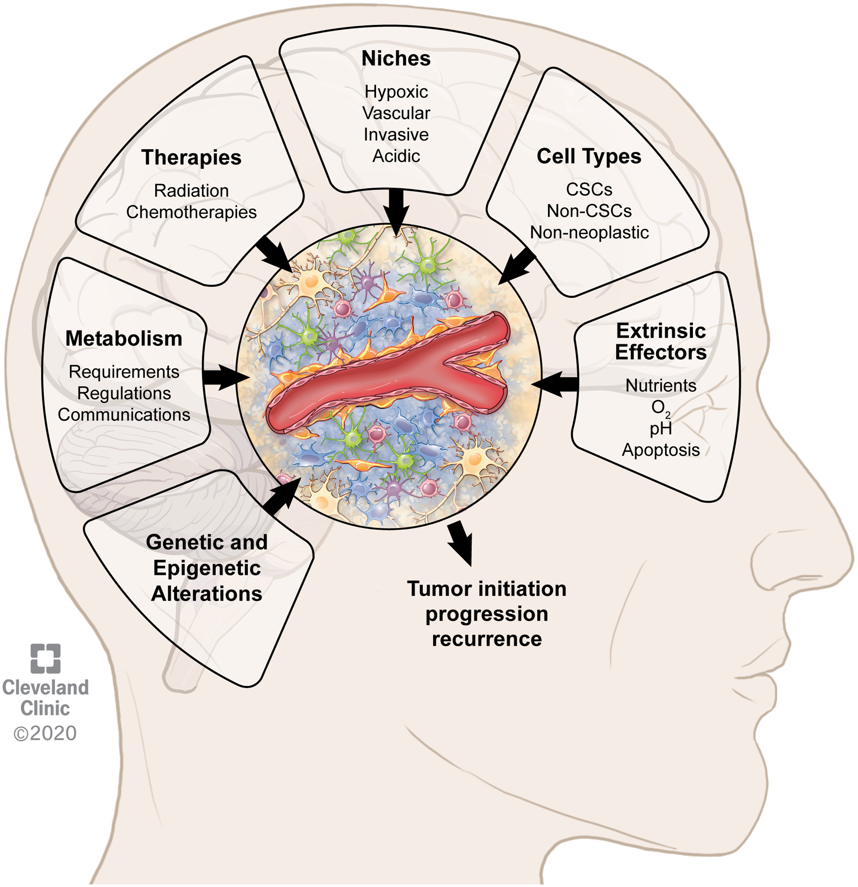 Figure 3: