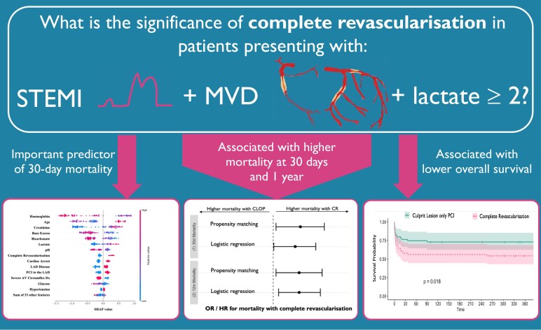 Graphical Abstract