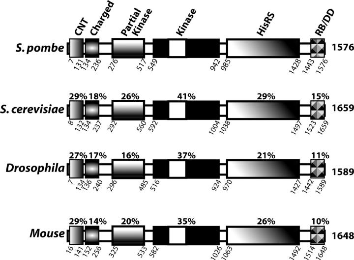 Figure 2.—