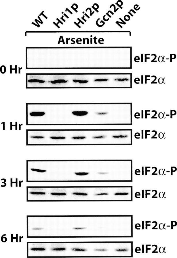 Figure 4.—