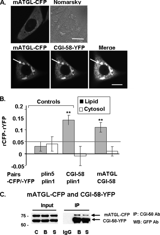 FIGURE 3.