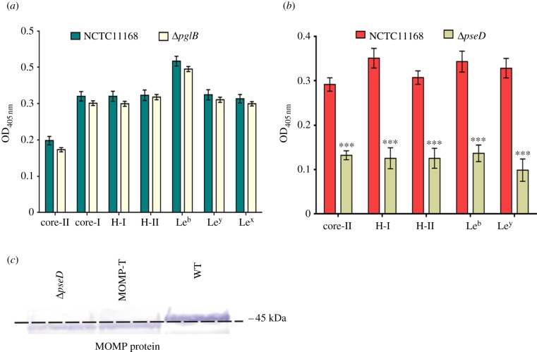 Figure 3.