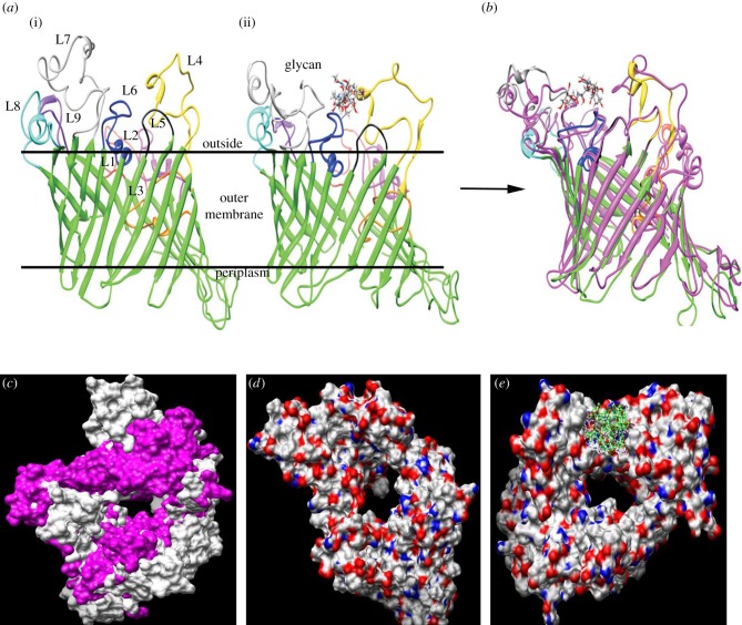 Figure 6.