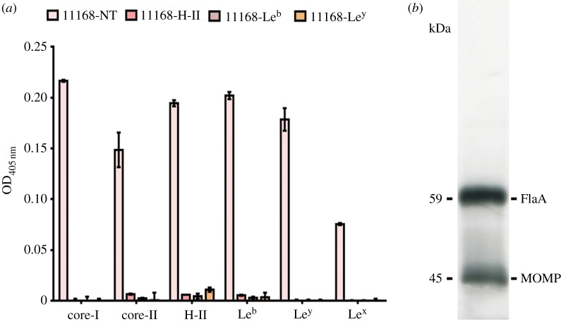 Figure 1.