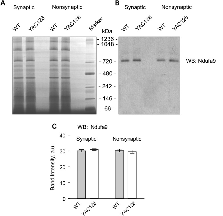 Figure 7.