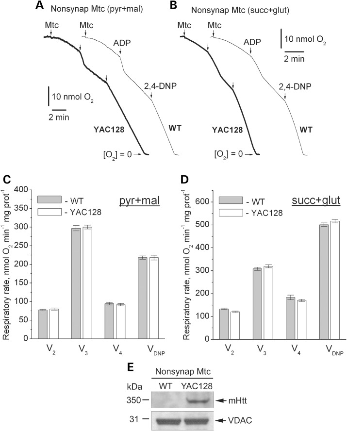 Figure 4.