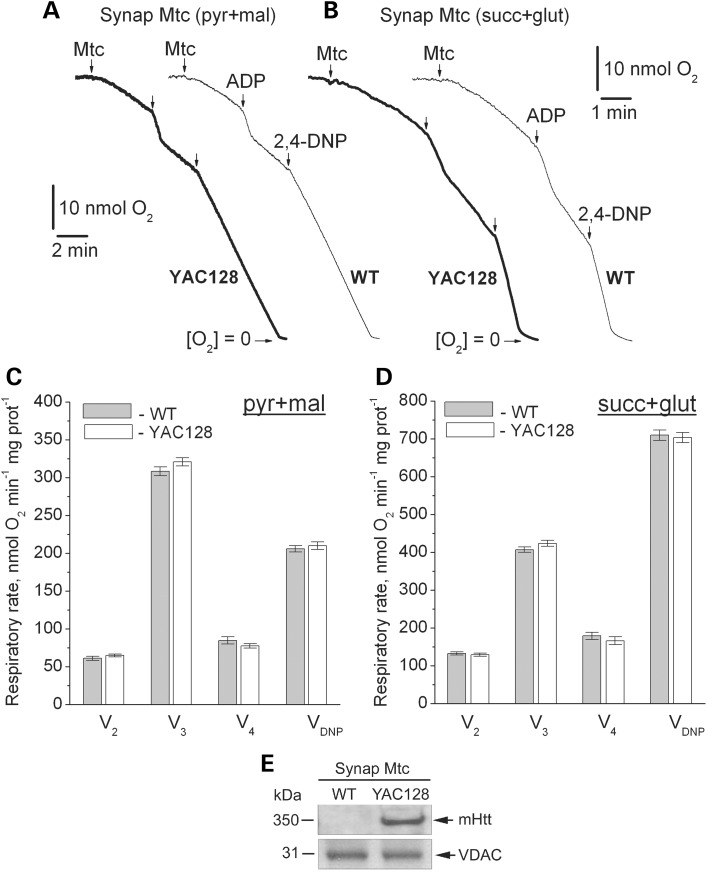 Figure 5.