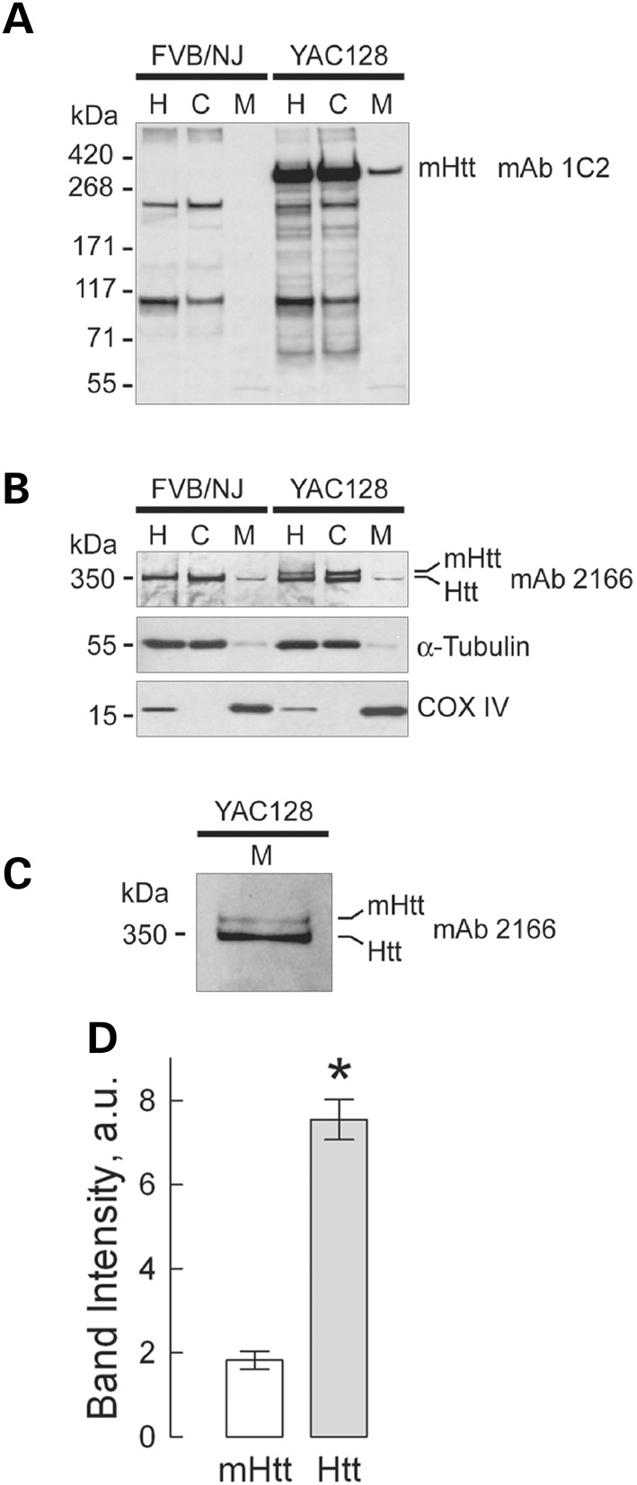 Figure 2.