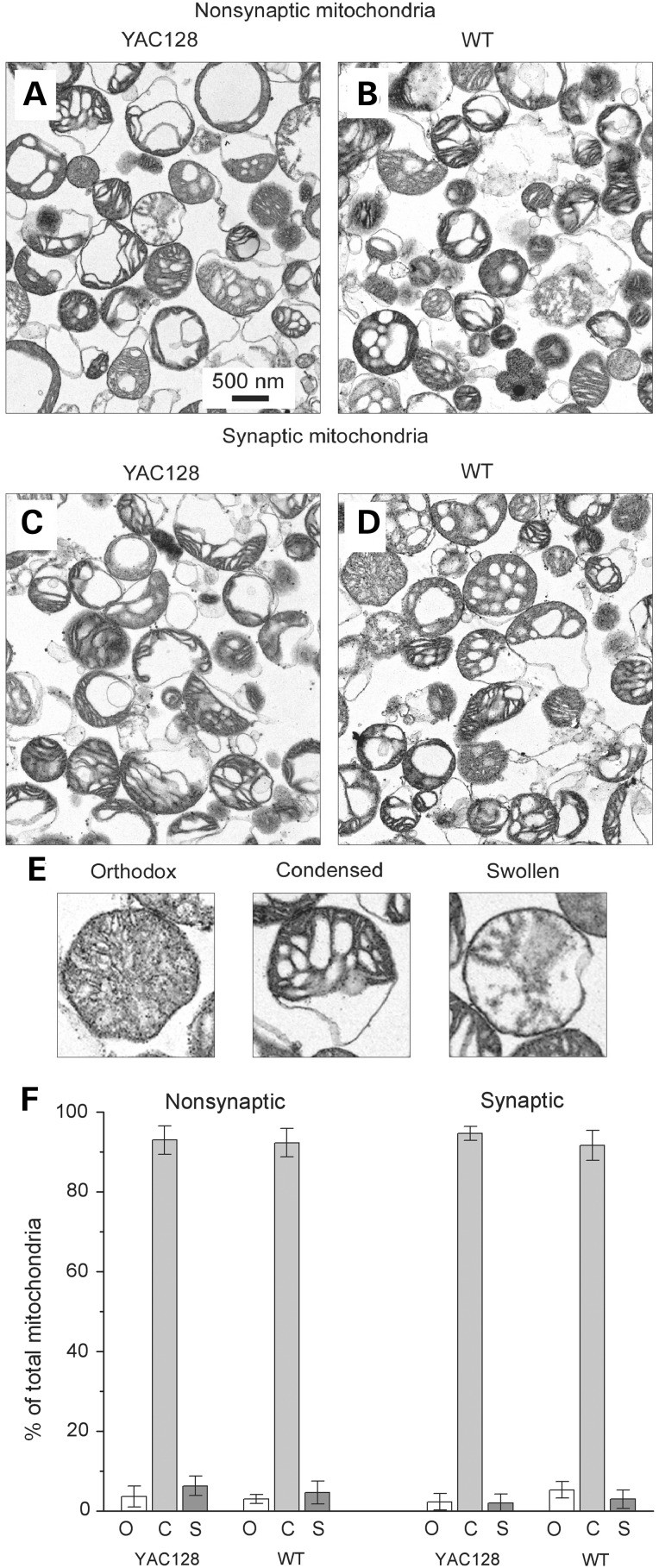 Figure 3.