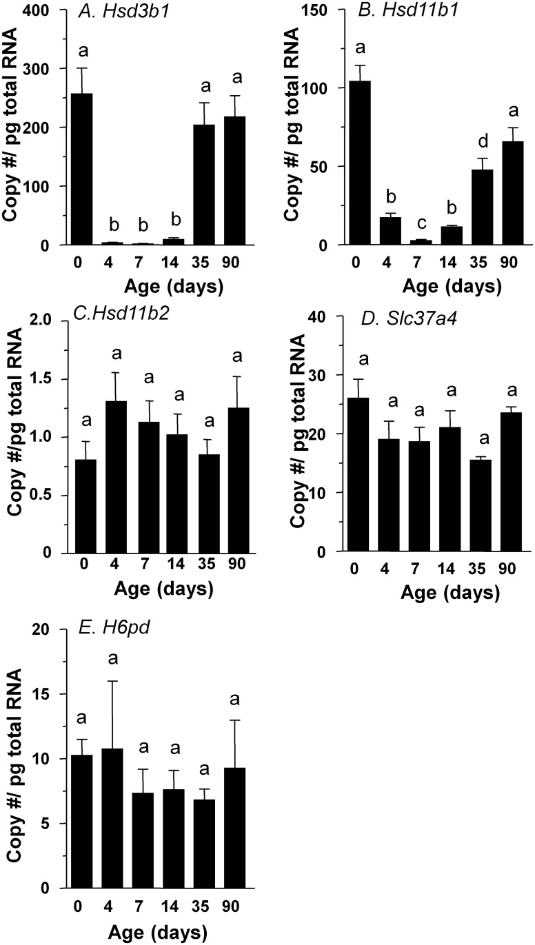 Fig 4