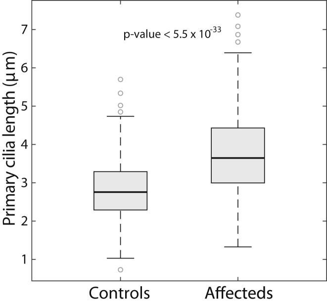 Figure 6