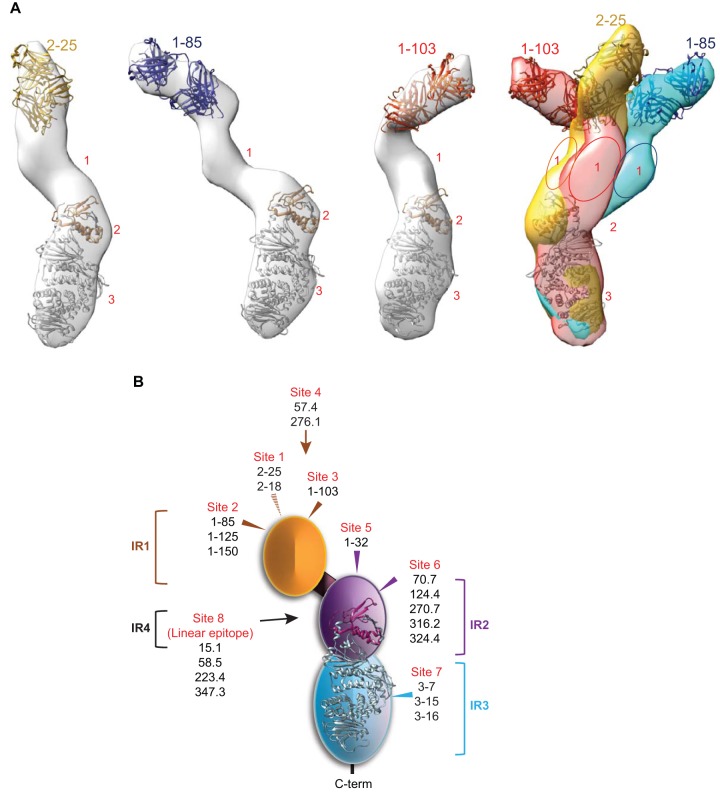 FIG 3