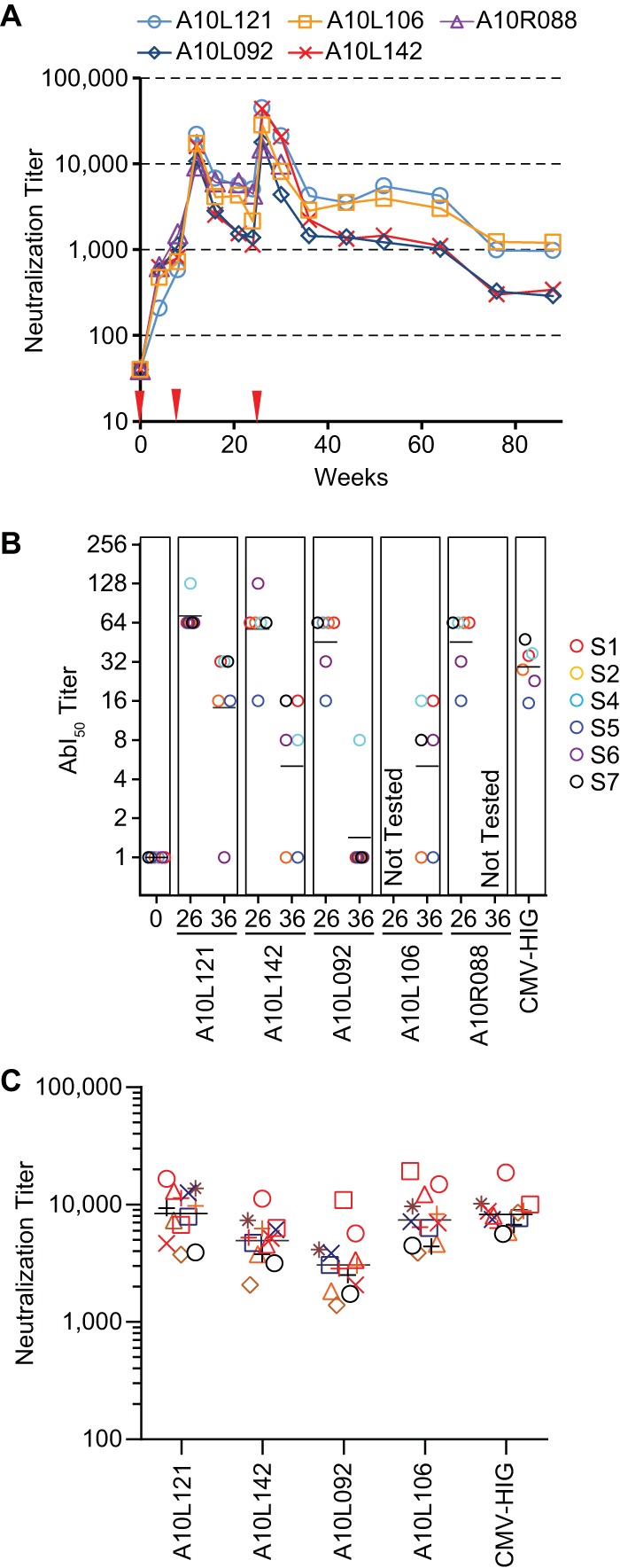 FIG 6