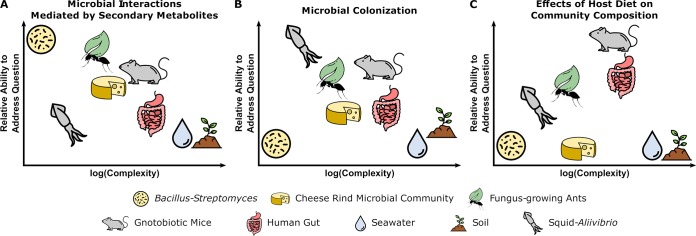 FIG 1