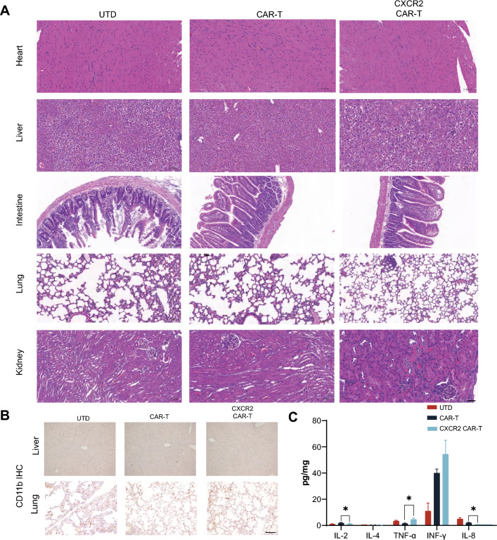 Fig. 4