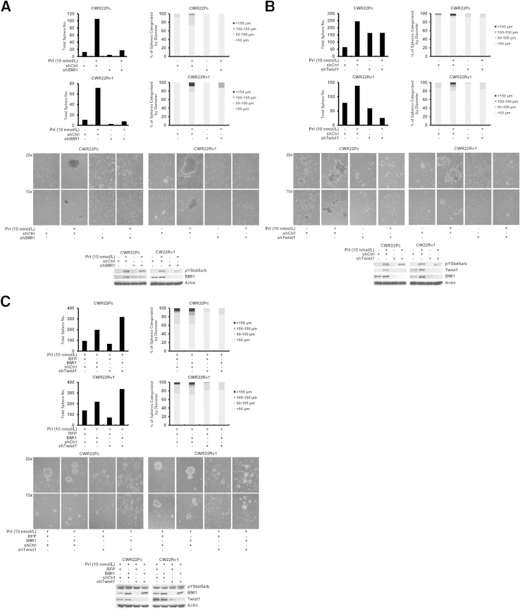 Figure 7