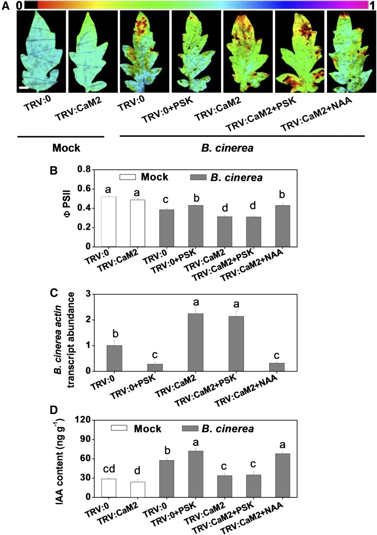 Figure 7.