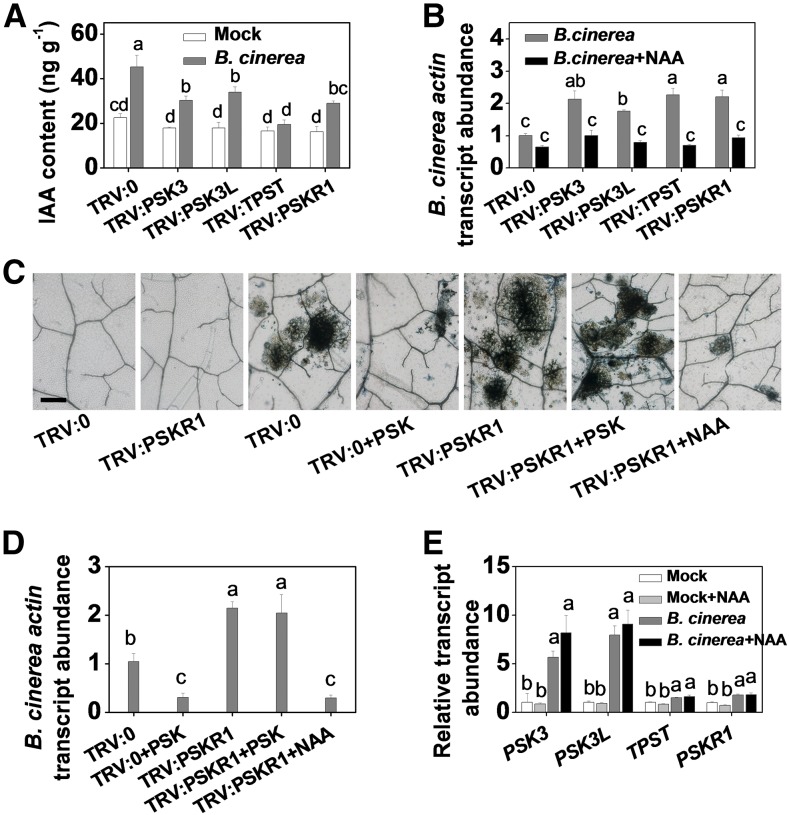 Figure 4.