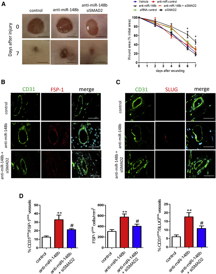 Figure 6