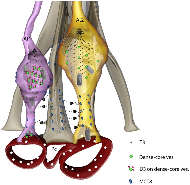 Figure 12