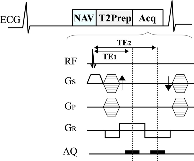 Fig. 1