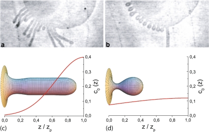 Fig. 4