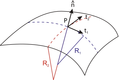 Fig. 5