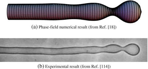 Fig. 3