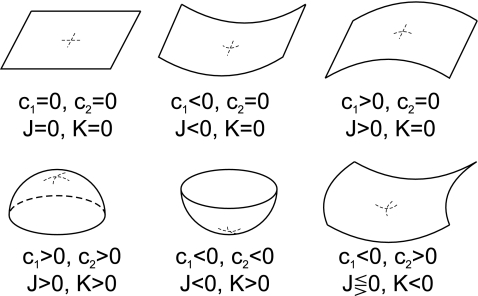 Fig. 6