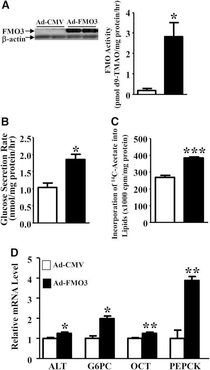 Fig. 9.