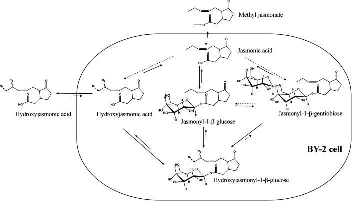 Figure 9.