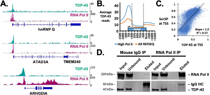 Figure 1: