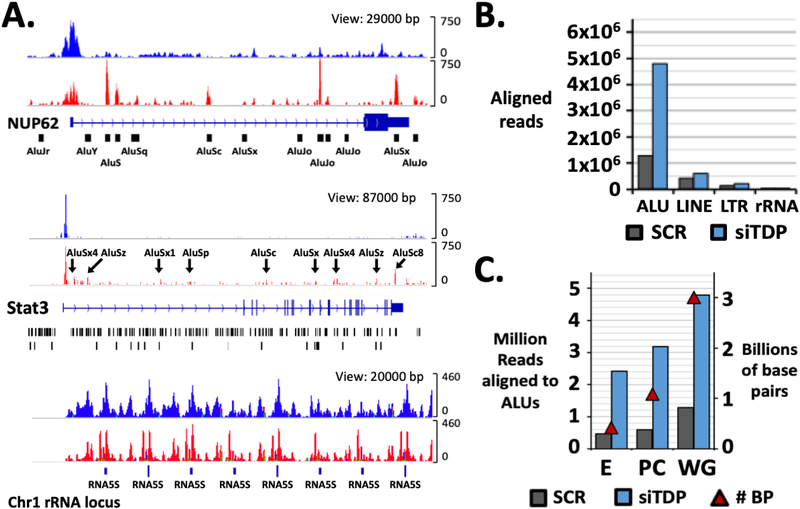 Figure 4: