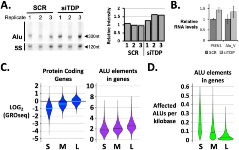 Figure 5: