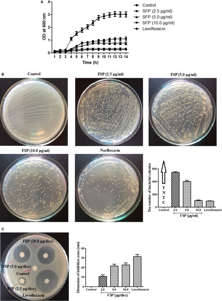 FIGURE 3