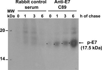 Fig. (4)