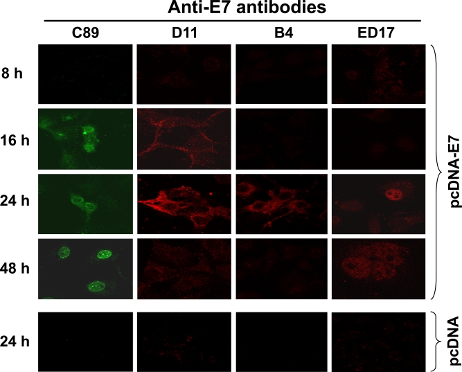 Fig. (6)