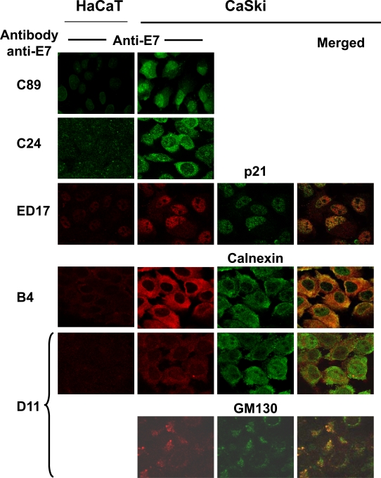 Fig. (5)