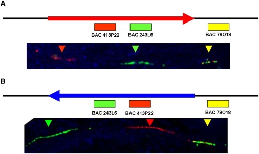 Figure 2