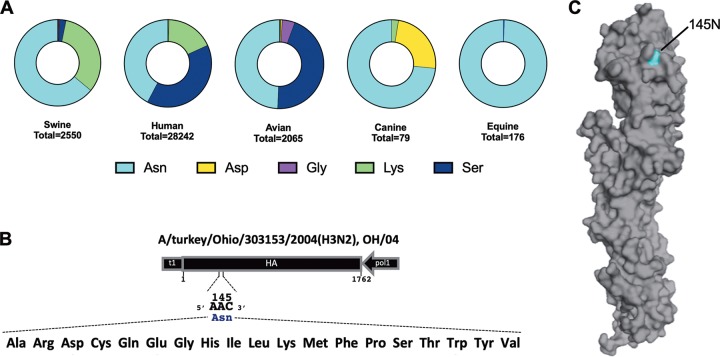 FIG 1