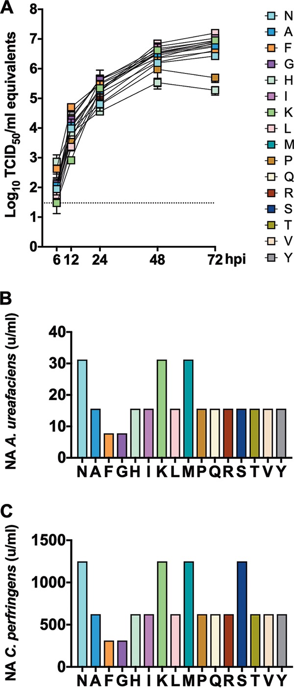 FIG 2