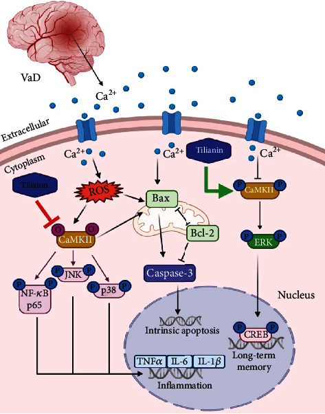 Figure 13