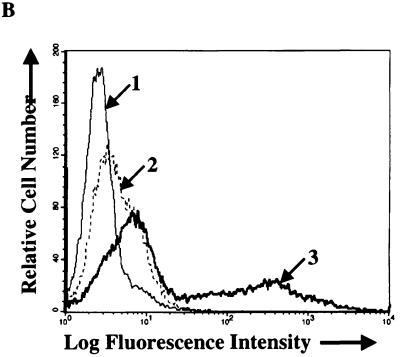 FIG. 8