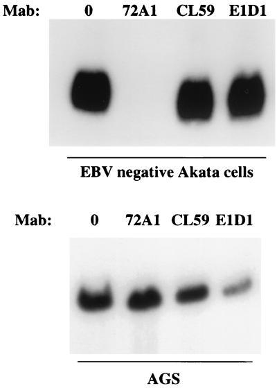 FIG. 7