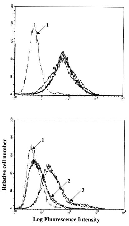 FIG. 3