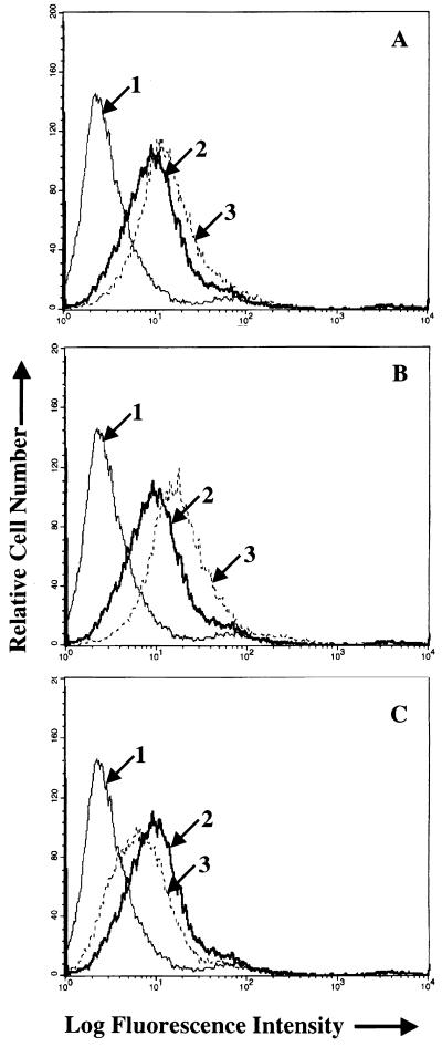 FIG. 6