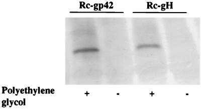 FIG. 9