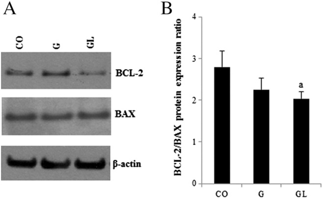 Fig. 5